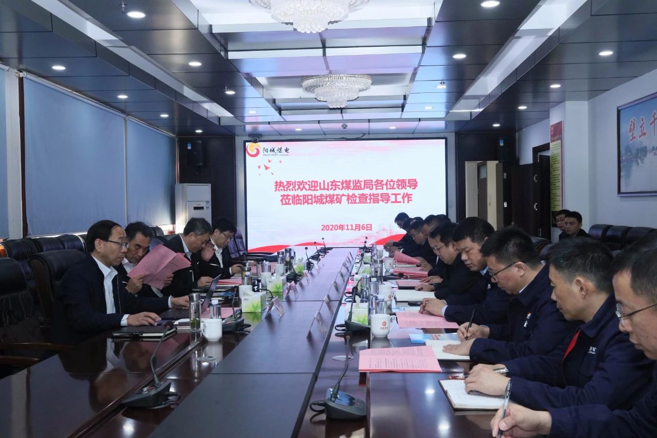 王庆利带队到阳城煤电开展煤矿安全大检查1.jpg