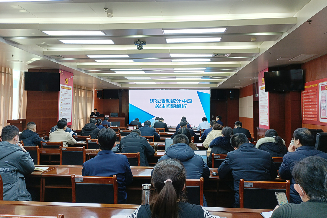 1645342546672234.jpg 300.jpg