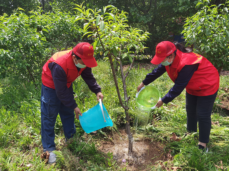 1651647424375317.jpg 港航跃进港:跃进港开展“五四”青年节自愿服务活动3.jpg