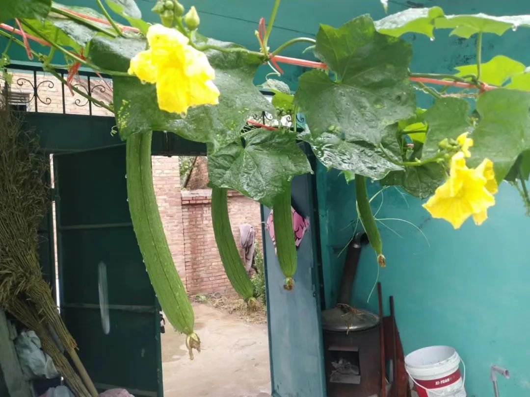 1661819574705540.jpg 微信图片_20220830081355.jpg