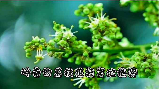 1663473137160618.png 微信截图_20220918115152.png