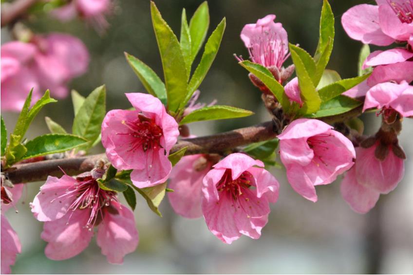 1681613323798075.jpg 微信截图_20230416104240.jpg