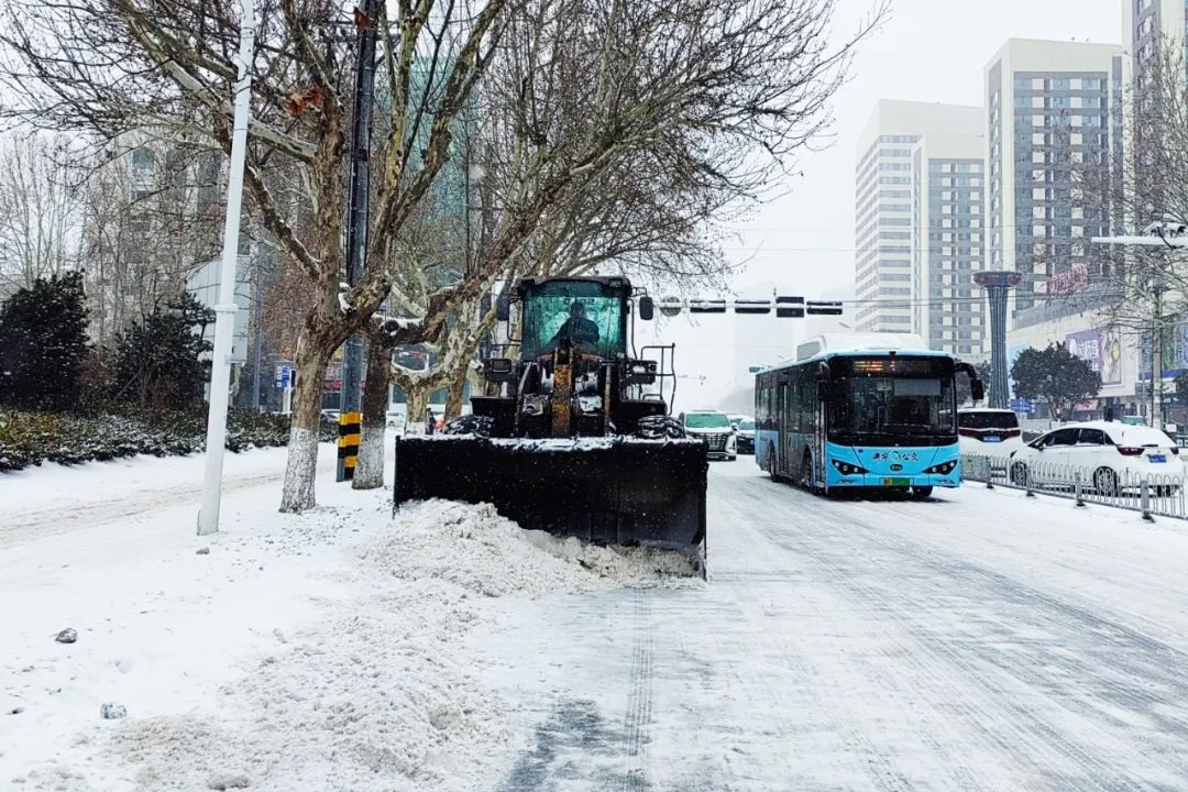 1708569786701159.jpg 640 (2).jpg