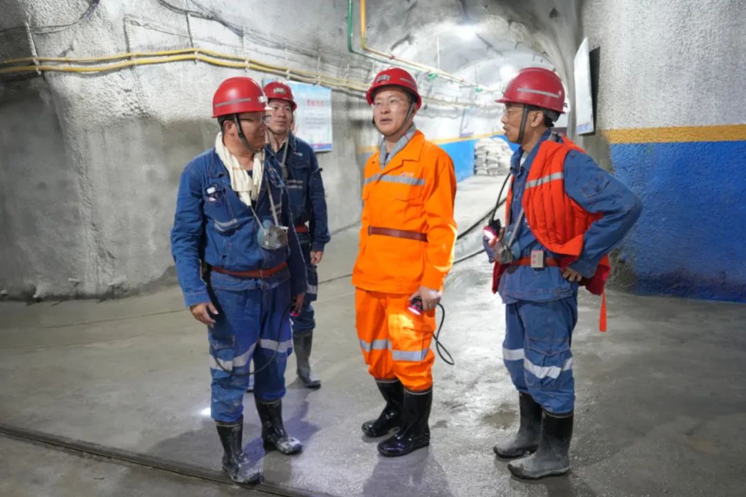 1712838109276737.jpg 001.jpg