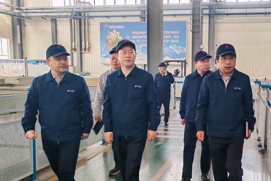 1740537727744535.jpg 0006.jpg