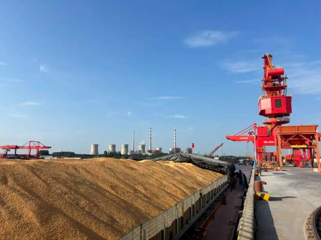 1760948177458030.jpg 04.jpg