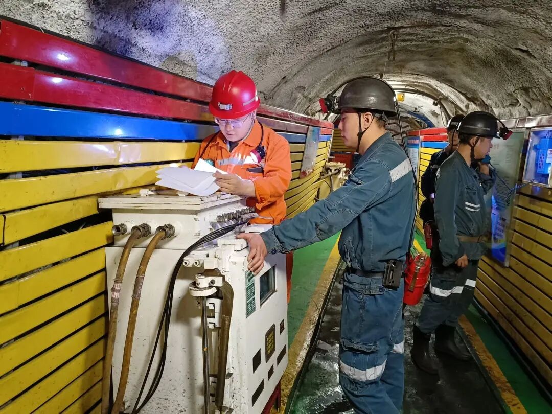 1762733583222173.jpg 01.jpg